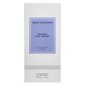 Angel Schlesser Luminous Violet Eau de Toilette voor vrouwen 100 ml