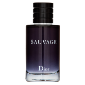 Dior (Christian Dior) Sauvage Eau de Toilette for men 100 ml
