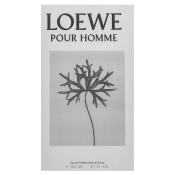 Loewe Pour Homme woda toaletowa dla mężczyzn 150 ml