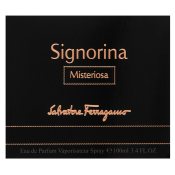 Salvatore Ferragamo Signorina Misteriosa parfémovaná voda pro ženy 100 ml