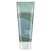Isntree Mugwort masker Calming Clay Mask 100 ml
