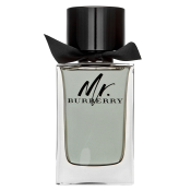 Burberry Mr. Burberry toaletná voda pre mužov 150 ml