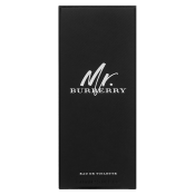 Burberry Mr. Burberry toaletná voda pre mužov 150 ml