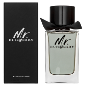 Burberry Mr. Burberry toaletná voda pre mužov 150 ml