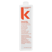 Kevin Murphy Everlasting.Colour Rinse regenerator za kosu za obojenu kosu 1000 ml
