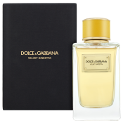 Dolce & Gabbana Velvet Ginestra parfémovaná voda pro ženy 150 ml
