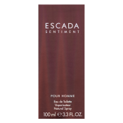Escada Sentiment pour Homme toaletní voda pro muže 100 ml