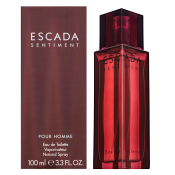 Escada Sentiment pour Homme toaletní voda pro muže 100 ml