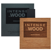 Dsquared2 Intense He Wood toaletní voda pro muže 100 ml