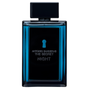 Antonio Banderas The Secret Night woda toaletowa dla mężczyzn 100 ml