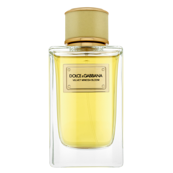 Dolce & Gabbana Velvet Mimosa Bloom parfémovaná voda za žene 150 ml