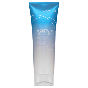 Joico Moisture Recovery Conditioner nourishing conditioner for dry hair 250 ml