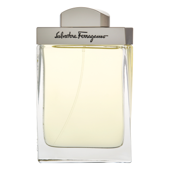 Salvatore Ferragamo Pour Homme toaletná voda pre mužov 100 ml
