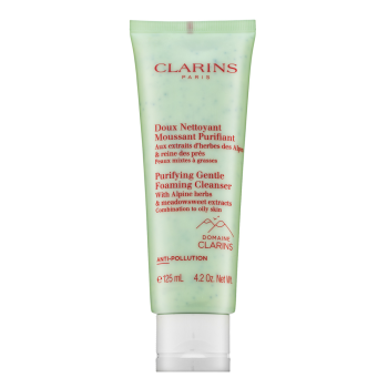 Clarins Purifying Gentle Foaming Cleanser cleaning foam for normal / combination skin 125 ml