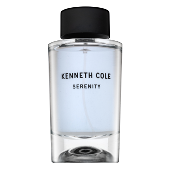 Kenneth Cole Serenity Eau de Toilette for men 100 ml