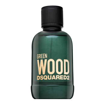 Dsquared2 Green Wood toaletní voda pro muže 100 ml