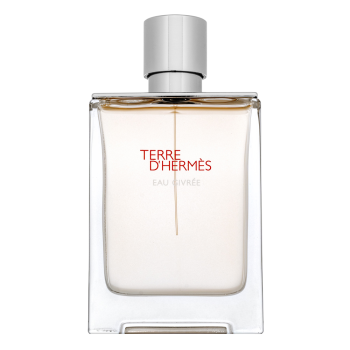 Hermès Terre d’Hermès Eau Givrée - Refillable Eau de Parfum voor mannen 100 ml