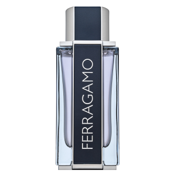 Salvatore Ferragamo Ferragamo Eau de Toilette voor mannen 100 ml