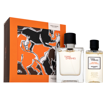 Hermès Terre D'Hermes zestaw upominkowy dla mężczyzn Set II. 50 ml