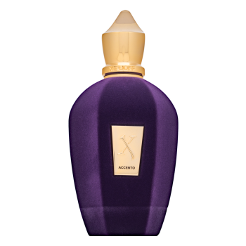 Xerjoff Accento parfémovaná voda unisex Extra Offer 4 100 ml