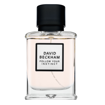 David Beckham Follow Your Instinct Eau de Parfum bărbați 50 ml