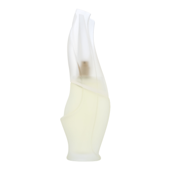 DKNY Cashmere Mist woda toaletowa dla kobiet Extra Offer 3 100 ml