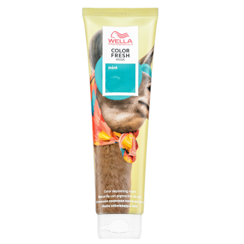 Wella Professionals Color Fresh Mask intenzivní barvicí maska pro všechny typy vlasů Mint 150 ml