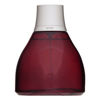 Antonio Banderas Spirit for Men toaletná voda pre mužov 100 ml