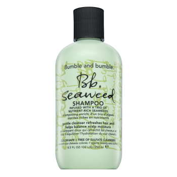 Bumble And Bumble BB Seaweed Shampoo Pflegeshampoo mit Hydratationswirkung 250 ml