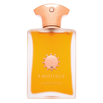 Amouage Overture parfémovaná voda pre mužov 100 ml