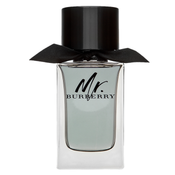 Burberry Mr. Burberry Eau de Toilette für Herren 100 ml