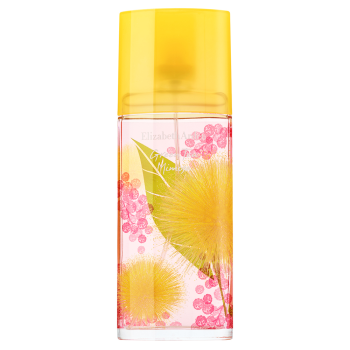 Elizabeth Arden Green Tea Mimosa toaletní voda pro ženy 100 ml