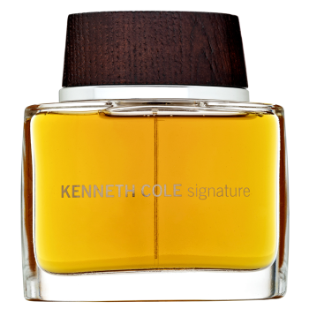 Kenneth Cole Signature Eau de Toilette for men 100 ml