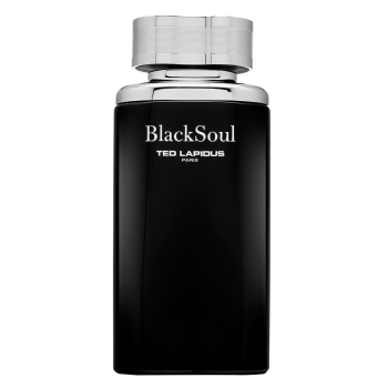 Ted Lapidus Black Soul woda toaletowa dla mężczyzn 100 ml
