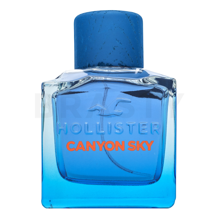 Hollister Canyon Sky For Him Eau de Toilette voor mannen 100 ml