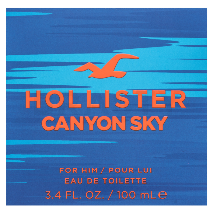 Hollister Canyon Sky For Him Eau de Toilette voor mannen 100 ml