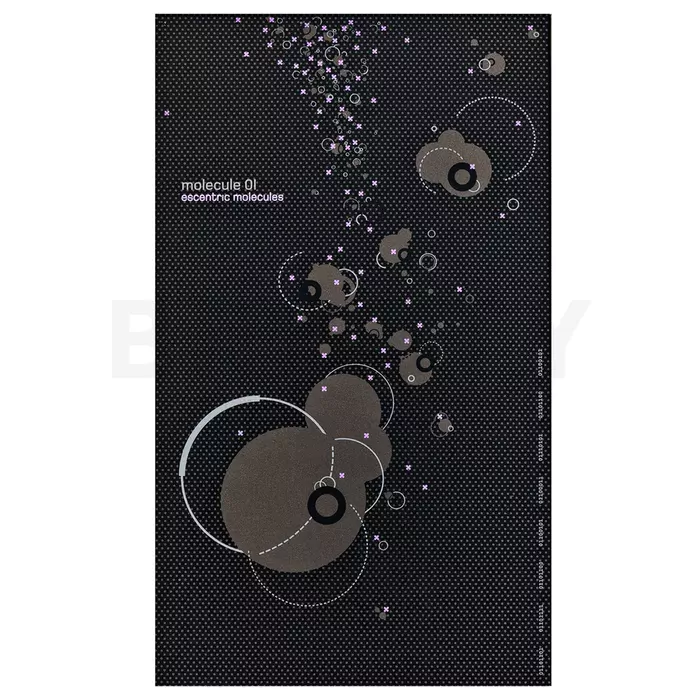 Escentric Molecules Molecule 01 Eau de Toilette unisex 100 ml