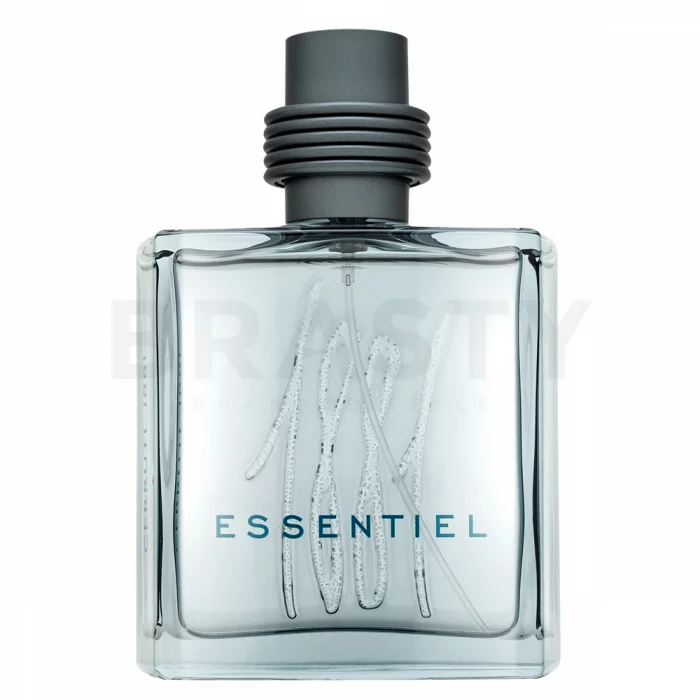 Cerruti 1881 Essentiel toaletná voda pre mužov 100 ml