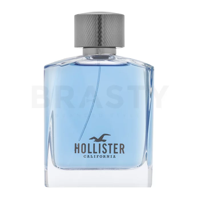 Hollister Wave For Him Eau de Toilette für Herren 100 ml