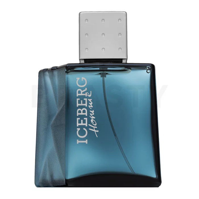 Iceberg Iceberg Homme woda toaletowa dla mężczyzn 100 ml