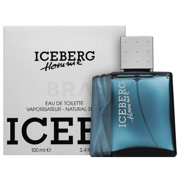 Iceberg Iceberg Homme woda toaletowa dla mężczyzn 100 ml