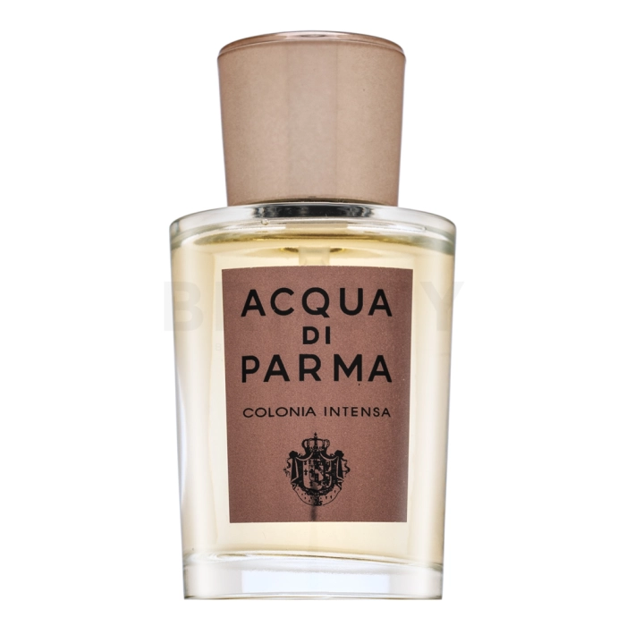 Acqua di Parma Colonia Intensia kolínska voda pre mužov 20 ml