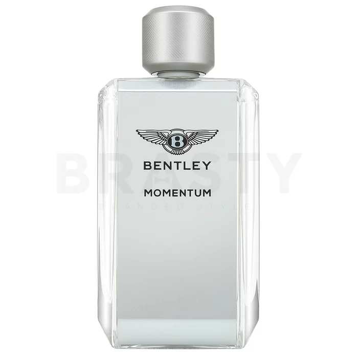 Bentley Momentum toaletná voda pre mužov 100 ml