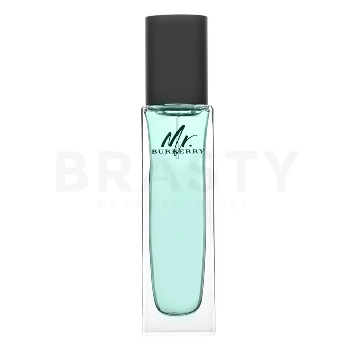 Burberry Mr. Burberry toaletná voda pre mužov 30 ml