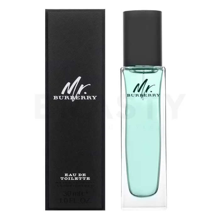 Burberry Mr. Burberry toaletná voda pre mužov 30 ml
