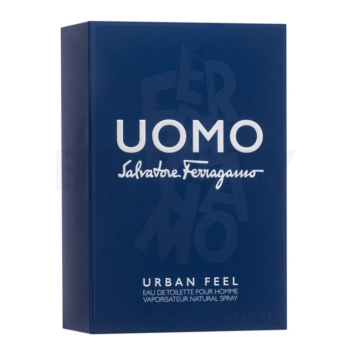 Salvatore Ferragamo Uomo Urban Feel Eau de Toilette voor mannen 100 ml