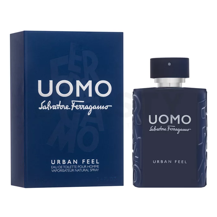 Salvatore Ferragamo Uomo Urban Feel Eau de Toilette voor mannen 100 ml