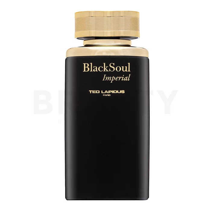 Ted Lapidus Black Soul Imperial woda toaletowa dla mężczyzn 100 ml