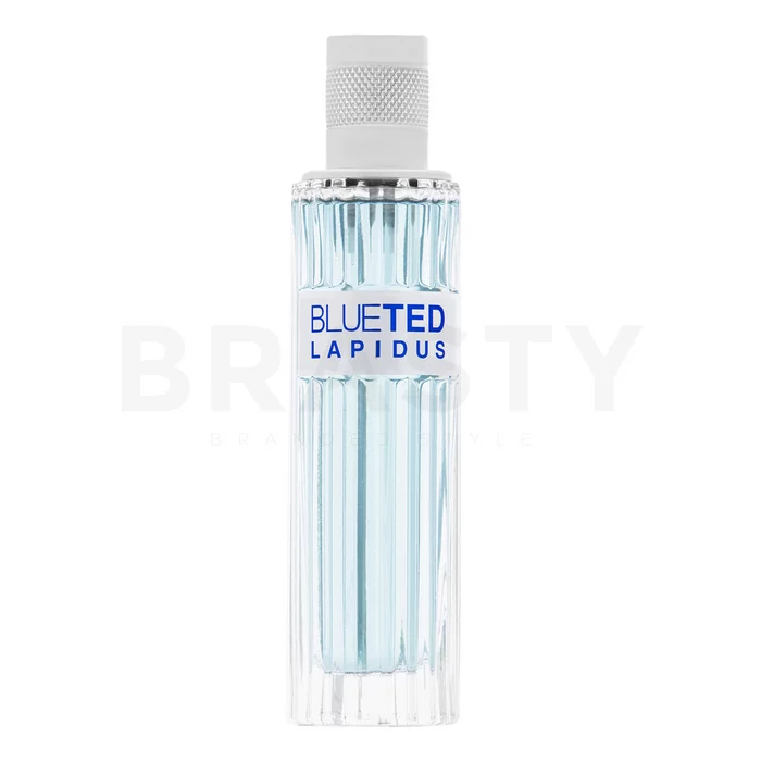 Ted Lapidus Blueted woda toaletowa dla mężczyzn 100 ml