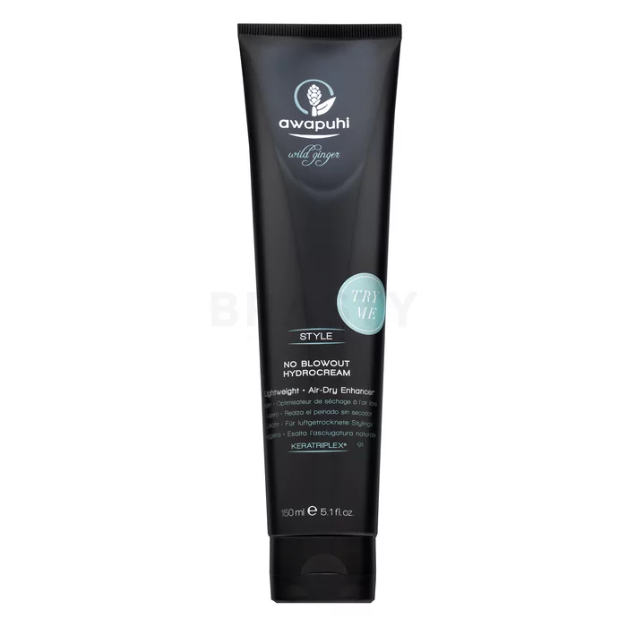 Paul Mitchell Awapuhi Wild Ginger Style No Blowout Hydrocream krema za oblikovanje za hitrejše sušenje 150 ml